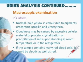 Urine analysis continued………
Macroscopic examination
Colour
 Normal- pale yellow in colour due to pigments
urochrome,urobilin and uroerythrin.
 Cloudiness may be caused by excessive cellular
material or protein, crystallization or
precipitation of salts upon standing at room
temperature or in the refrigerator.
 If the sample contains many red blood cells, it
would be cloudy as well as red.
 