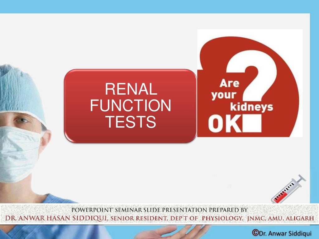 renal-function-test