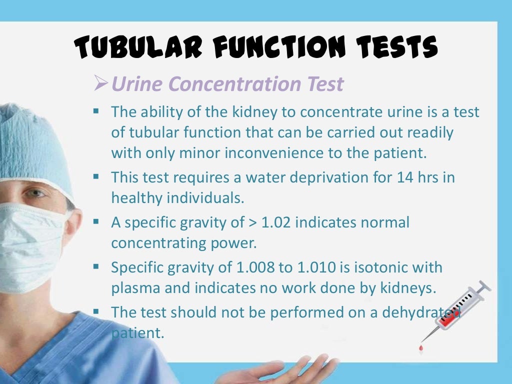 Renal Function Test