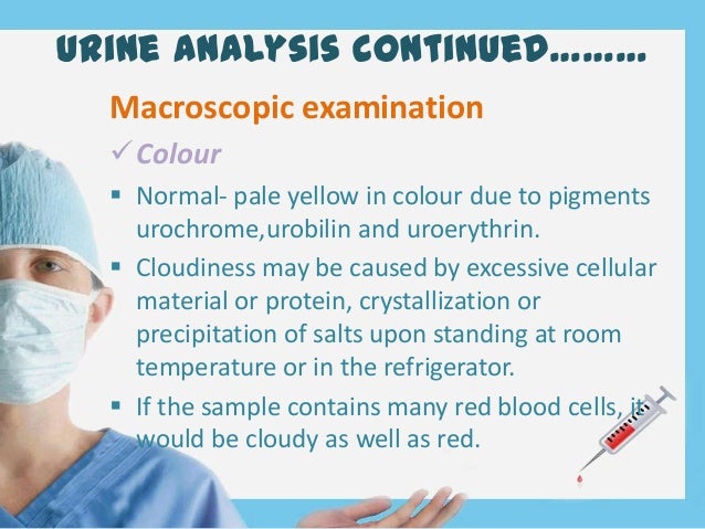 Renal Function Test - 