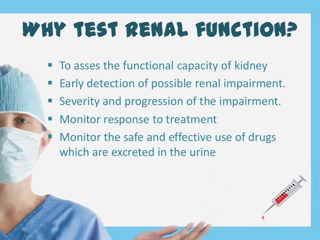 What Is Renal Function Test