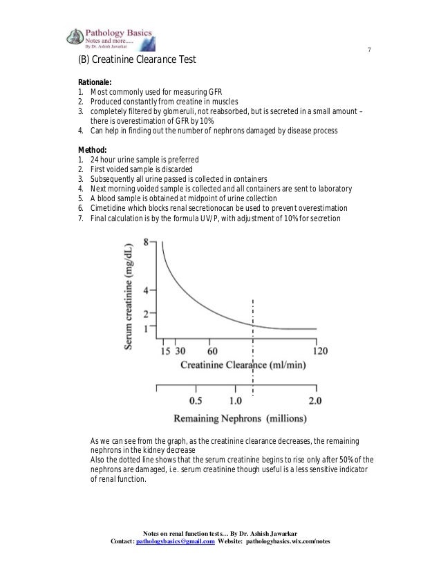 Renal Function Tests