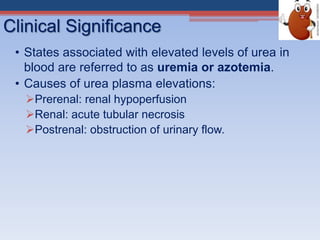 Clinical Significance
• States associated with elevated levels of urea in
blood are referred to as uremia or azotemia.
• Causes of urea plasma elevations:
Prerenal: renal hypoperfusion
Renal: acute tubular necrosis
Postrenal: obstruction of urinary flow.
 