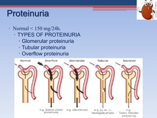 ▫ Normal < 150 mg/24h.
 TYPES OF PROTEINURIA
 Glomerular proteinuria
 Tubular proteinuria
 Overflow proteinuria
Proteinuria
 