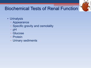 Biochemical Tests of Renal Function
• Urinalysis
▫ Appearance
▫ Specific gravity and osmolality
▫ pH
▫ Glucose
▫ Protein
▫ Urinary sediments
 