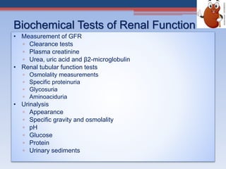 Biochemical Tests of Renal Function
• Measurement of GFR
▫ Clearance tests
▫ Plasma creatinine
▫ Urea, uric acid and β2-microglobulin
• Renal tubular function tests
▫ Osmolality measurements
▫ Specific proteinuria
▫ Glycosuria
▫ Aminoaciduria
• Urinalysis
▫ Appearance
▫ Specific gravity and osmolality
▫ pH
▫ Glucose
▫ Protein
▫ Urinary sediments
 
