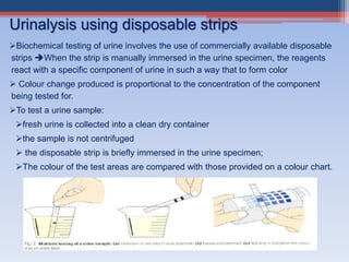 Biochemical testing of urine involves the use of commercially available disposable
strips When the strip is manually immersed in the urine specimen, the reagents
react with a specific component of urine in such a way that to form color
 Colour change produced is proportional to the concentration of the component
being tested for.
To test a urine sample:
fresh urine is collected into a clean dry container
the sample is not centrifuged
 the disposable strip is briefly immersed in the urine specimen;
The colour of the test areas are compared with those provided on a colour chart.
Urinalysis using disposable strips
 
