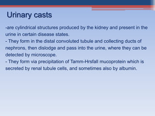 -are cylindrical structures produced by the kidney and present in the
urine in certain disease states.
- They form in the distal convoluted tubule and collecting ducts of
nephrons, then dislodge and pass into the urine, where they can be
detected by microscope.
- They form via precipitation of Tamm-Hrsfall mucoprotein which is
secreted by renal tubule cells, and sometimes also by albumin.
Urinary casts
 