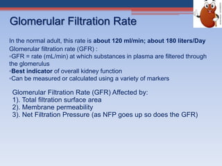 Glomerular Filtration Rate (GFR) Affected by:
1). Total filtration surface area
2). Membrane permeability
3). Net Filtration Pressure (as NFP goes up so does the GFR)
In the normal adult, this rate is about 120 ml/min; about 180 liters/Day
Glomerular filtration rate (GFR) :
▫GFR = rate (mL/min) at which substances in plasma are filtered through
the glomerulus
▫Best indicator of overall kidney function
▫Can be measured or calculated using a variety of markers
Glomerular Filtration Rate
 