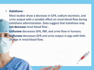 • Halothane -
Most studies show a decrease in GFR, sodium excretion, and
urine output with a variable effect on renal blood flow during
halothane administration. Data suggest that halothane may
not decrease renal blood flow .
• Enflurane decreases GFR, RBF, and urine flow in humans.
• Isoflurane decreases GFR and urine output in pigs with little
change in renal blood flow.
 