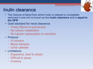 Inulin clearance
• The Volume of blood from which inulin is cleared or completely
removed in one min is known as the inulin clearance and is equal to
the GFR.
• Gold standard for renal clearance
▫ Freely filtered at glomerulus
▫ No tubular metabolism
▫ No tubular reabsorption or secretion
• Protocol
▫ IV infusion
▫ Blood samples
▫ Urine catheter
• Limitations
▫ Expensive, hard to obtain
▫ Difficult to assay
▫ Invasive
 
