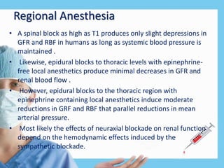 Regional Anesthesia
• A spinal block as high as T1 produces only slight depressions in
GFR and RBF in humans as long as systemic blood pressure is
maintained .
• Likewise, epidural blocks to thoracic levels with epinephrine-
free local anesthetics produce minimal decreases in GFR and
renal blood flow .
• However, epidural blocks to the thoracic region with
epinephrine containing local anesthetics induce moderate
reductions in GRF and RBF that parallel reductions in mean
arterial pressure.
• Most likely the effects of neuraxial blockade on renal function
depend on the hemodynamic effects induced by the
sympathetic blockade.
 