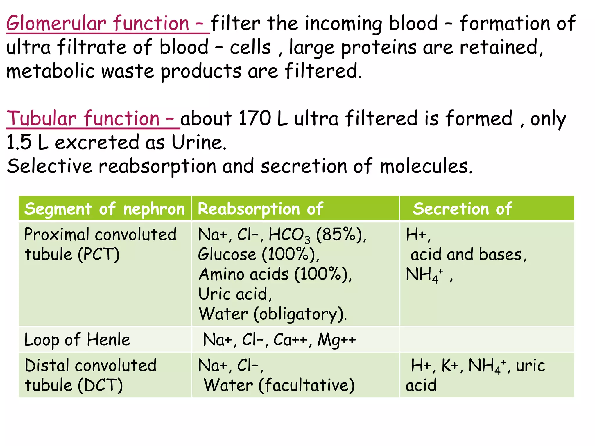 Segment of nephron Reabsorption of Secretion of
Proximal convoluted
tubule (PCT)
Na+, Cl–, HCO3 (85%),
Glucose (100%),
Amino acids (100%),
Uric acid,
Water (obligatory).
H+,
acid and bases,
NH4
+ ,
Loop of Henle Na+, Cl–, Ca++, Mg++
Distal convoluted
tubule (DCT)
Na+, Cl–,
Water (facultative)
H+, K+, NH4
+, uric
acid
Glomerular function – filter the incoming blood – formation of
ultra filtrate of blood – cells , large proteins are retained,
metabolic waste products are filtered.
Tubular function – about 170 L ultra filtered is formed , only
1.5 L excreted as Urine.
Selective reabsorption and secretion of molecules.
 