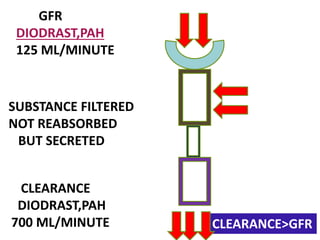 GFR
DIODRAST,PAH
125 ML/MINUTE
CLEARANCE
DIODRAST,PAH
700 ML/MINUTE
SUBSTANCE FILTERED
NOT REABSORBED
BUT SECRETED
CLEARANCE>GFR
 