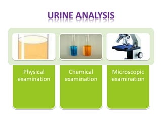 Physical
examination
Chemical
examination
Microscopic
examination
 