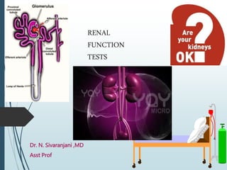 Dr. N. Sivaranjani ,MD
Asst Prof
RENAL
FUNCTION
TESTS
 