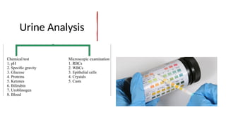 RFT.pptx Renal function tests are divided into the following Urine ...