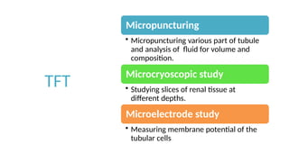 RFT.pptx Renal function tests are divided into the following Urine ...