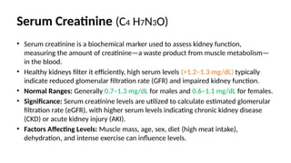 Comprehensive Overview of Renal Function Tests and Kidney Health ...