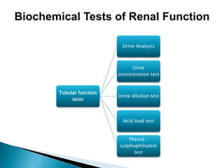 Biochemical Tests of Renal Function
Tubular function
tests
Urine Analysis
Urine
concentration test
Urine dilution test
Acid load test
Phenol –
sulphophthalein
test
 