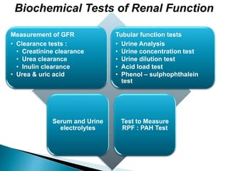 Biochemical Tests of Renal Function
Measurement of GFR
• Clearance tests :
• Creatinine clearance
• Urea clearance
• Inulin clearance
• Urea & uric acid
Tubular function tests
• Urine Analysis
• Urine concentration test
• Urine dilution test
• Acid load test
• Phenol – sulphophthalein
test
Serum and Urine
electrolytes
Test to Measure
RPF : PAH Test
 