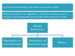 —> 20 protein biomarkers have been intensively studied.
—Urinary biomarkers are regarded as more non-invasive, easy to
measure, easily obtainable and provide earlier detection of AKI.
—Urinary
Biomarkers
Biomarkers of
structural injury
Biomarkers of
functional injury
Others…
 