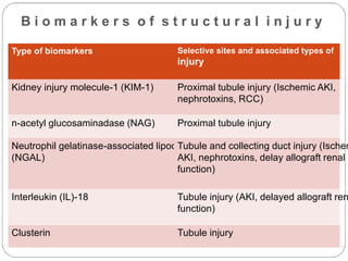 B i o m a r k e r s o f s t r u c t u r a l i n j u r y
Type of biomarkers Selective sites and associated types of
injury
Kidney injury molecule-1 (KIM-1) Proximal tubule injury (Ischemic AKI,
nephrotoxins, RCC)
n-acetyl glucosaminadase (NAG) Proximal tubule injury
Neutrophil gelatinase-associated lipocalin
(NGAL)
Tubule and collecting duct injury (Ischem
AKI, nephrotoxins, delay allograft renal
function)
Interleukin (IL)-18 Tubule injury (AKI, delayed allograft ren
function)
Clusterin Tubule injury
 