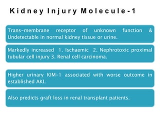 K i d n e y I n j u r y M o l e c u l e - 1
Trans-membrane receptor of unknown function &
Undetectable in normal kidney tissue or urine.
Markedly increased 1. Ischaemic 2. Nephrotoxic proximal
tubular cell injury 3. Renal cell carcinoma.
Higher urinary KIM-1 associated with worse outcome in
established AKI.
Also predicts graft loss in renal transplant patients.
 
