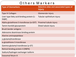 O t h e r s M a r k e r s
Type of biomarkers Selective sites and associated types of
injury
Type IV Collagen Glomerular injury
Liver type fatty acid binding protein (L-
FABP)
Tubular epithelium injury
Alpha-glutathione S-transferase (α-GST) Proximal tubule injury
Tamm-horsfall glycoprotein Distal tubule injury
Brush border antigens
Adenosine deaminase binding protein
Alanine aminopeptidase
γ-glutamyltransferase
α-glutathione-S-transferase
Gamma-glutamyl transferase (γ-GT)
Retinol binding protein 4 (RBP4)
Sodium/hydrogen exchanger isoform
Exosomal fetuin-A
 