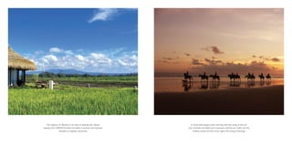 Waka residences brochure