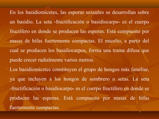 En los basidiomicetes, las esporas sexuales se desarrollan sobre
un basidio. La seta -fructificación o basidiocarpo- es el cuerpo
fructífero en donde se producen las esporas. Está compuesto por
masas de hifas fuertemente compactas. El micelio, a partir del
cual se producen los basidiocarpos, forma una trama difusa que
puede crecer radialmente varios metros.
Los basidiomicetes constituyen el grupo de hongos más familiar,
ya que incluyen a los hongos de sombrero o setas. La seta
-fructificación o basidiocarpo- es el cuerpo fructífero en donde se
producen las esporas. Está compuesto por masas de hifas
fuertemente compactas.
 