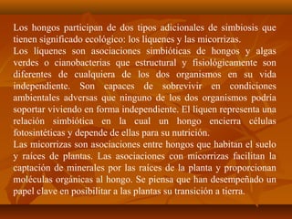 Los hongos participan de dos tipos adicionales de simbiosis que
tienen significado ecológico: los líquenes y las micorrizas.
Los líquenes son asociaciones simbióticas de hongos y algas
verdes o cianobacterias que estructural y fisiológicamente son
diferentes de cualquiera de los dos organismos en su vida
independiente. Son capaces de sobrevivir en condiciones
ambientales adversas que ninguno de los dos organismos podría
soportar viviendo en forma independiente. El liquen representa una
relación simbiótica en la cual un hongo encierra células
fotosintéticas y depende de ellas para su nutrición.
Las micorrizas son asociaciones entre hongos que habitan el suelo
y raíces de plantas. Las asociaciones con micorrizas facilitan la
captación de minerales por las raíces de la planta y proporcionan
moléculas orgánicas al hongo. Se piensa que han desempeñado un
papel clave en posibilitar a las plantas su transición a tierra.
 