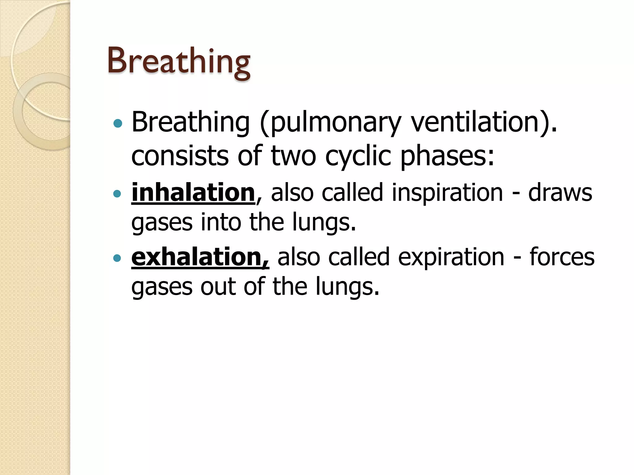 Respiratory System - Human Anatomy and Physiology bPharm | PDF