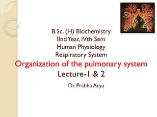 B.Sc. (H) Biochemistry
IIndYear, IVth Sem
Human Physiology
Respiratory System
Organization of the pulmonary system
Lecture-1 & 2
Dr. Prabha Arya
 