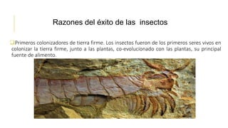 Primeros colonizadores de tierra firme. Los insectos fueron de los primeros seres vivos en
colonizar la tierra firme, junto a las plantas, co-evolucionado con las plantas, su principal
fuente de alimento.
Razones del éxito de las insectos
 