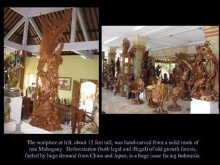 The sculpture at left, about 12 feet tall, was hand-carved from a solid trunk of rare Mahogany.  Deforestation (both legal and illegal) of old growth forests, fueled by huge demand from China and Japan, is a huge issue facing Indonesia. 