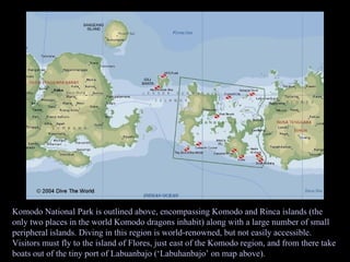 Komodo National Park is outlined above, encompassing Komodo and Rinca islands (the only two places in the world Komodo dragons inhabit) along with a large number of small peripheral islands. Diving in this region is world-renowned, but not easily accessible. Visitors must fly to the island of Flores, just east of the Komodo region, and from there take boats out of the tiny port of Labuanbajo (‘Labuhanbajo’ on map above). 