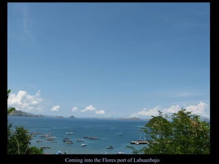 Coming into the Flores port of Labuanbajo 