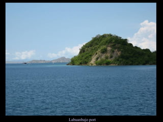 Labuanbajo port 