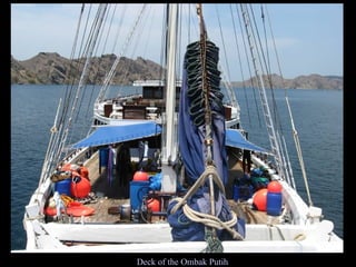 Deck of the Ombak Putih 