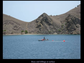 Buoy and liftbags at surface 
