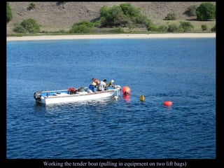 Working the tender boat (pulling in equipment on two lift bags) 