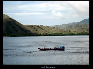 Local fishermen 