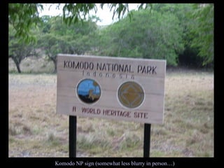 Komodo NP sign (somewhat less blurry in person…) 