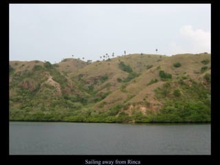 Sailing away from Rinca 