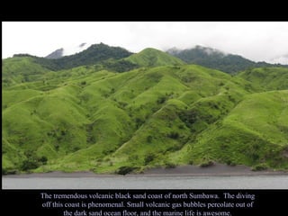 The tremendous volcanic black sand coast of north Sumbawa.  The diving off this coast is phenomenal. Small volcanic gas bubbles percolate out of the dark sand ocean floor, and the marine life is awesome. 