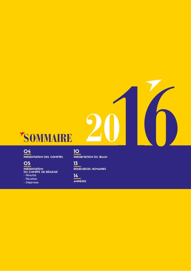 Rapport de gestion 2016