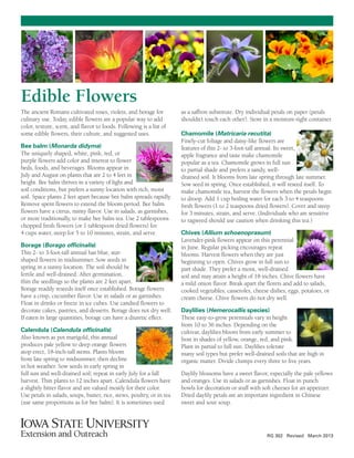 RG 302 Revised March 2013 
Edible Flowers 
The ancient Romans cultivated roses, violets, and borage for 
culinary use. Today, edible flowers are a popular way to add 
color, texture, scent, and flavor to foods. Following is a list of 
some edible flowers, their culture, and suggested uses. 
Bee balm (Monarda didyma) 
The uniquely shaped, white, pink, red, or 
purple flowers add color and interest to flower 
beds, foods, and beverages. Blooms appear in 
July and August on plants that are 2to 
4 feet in 
height. Bee balm thrives in a variety of light and 
soil conditions, but prefers a sunny location with rich, moist 
soil. Space plants 2 feet apart because bee balm spreads rapidly. 
Remove spent flowers to extend the bloom period. Bee balm 
flowers have a citrus, minty flavor. Use in salads, as garnishes, 
or more traditionally, to make bee balm tea. Use 2 tablespoons 
chopped fresh flowers (or 1 tablespoon dried flowers) for 
4 cups water, steep for 5 to 10 minutes, strain, and serve. 
Borage (Borago officinalis) 
This 2- to 3-foot-tall annual has blue, star-shaped 
flowers in midsummer. Sow seeds in 
spring in a sunny location. The soil should be 
fertile and well-drained. After germination, 
thin the seedlings so the plants are 2 feet apart. 
Borage readily reseeds itself once established. Borage flowers 
have a crisp, cucumber flavor. Use in salads or as garnishes. 
Float in drinks or freeze in ice cubes. Use candied flowers to 
decorate cakes, pastries, and desserts. Borage does not dry well. 
If eaten in large quantities, borage can have a diuretic effect. 
Calendula (Calendula officinalis) 
Also known as pot marigold, this annual 
produces pale yellow to deep orange flowers 
atop erect, 18-inch-tall stems. Plants bloom 
from late spring to midsummer, then decline 
in hot weather. Sow seeds in early spring in 
full sun and well-drained soil; repeat in early July for a fall 
harvest. Thin plants to 12 inches apart. Calendula flowers have 
a slightly bitter flavor and are valued mostly for their color. 
Use petals in salads, soups, butter, rice, stews, poultry, or in tea 
(use same proportions as for bee balm). It is sometimes used 
as a saffron substitute. Dry individual petals on paper (petals 
shouldn’t touch each other). Store in a moisture-tight container. 
Chamomile (Matricaria recutita) 
Finely-cut foliage and daisy-like flowers are 
features of this 2- to 3-foot-tall annual. Its sweet, 
apple fragrance and taste make chamomile 
popular as a tea. Chamomile grows in full sun 
to partial shade and prefers a sandy, well-drained 
soil. It blooms from late spring through late summer. 
Sow seed in spring. Once established, it will reseed itself. To 
make chamomile tea, harvest the flowers when the petals begin 
to droop. Add 1 cup boiling water for each 3 to 4 teaspoons 
fresh flowers (1 to 2 teaspoons dried flowers). Cover and steep 
for 3 minutes, strain, and serve. (Individuals who are sensitive 
to ragweed should use caution when drinking this tea.) 
Chives (Allium schoenoprasum) 
Lavender-pink flowers appear on this perennial 
in June. Regular picking encourages repeat 
blooms. Harvest flowers when they are just 
beginning to open. Chives grow in full sun to 
part shade. They prefer a moist, well-drained 
soil and may attain a height of 18 inches. Chive flowers have 
a mild onion flavor. Break apart the florets and add to salads, 
cooked vegetables, casseroles, cheese dishes, eggs, potatoes, or 
cream cheese. Chive flowers do not dry well. 
Daylilies (Hemerocallis species) 
These easy-to-grow perennials vary in height 
from 10 to 36 inches. Depending on the 
cultivar, daylilies bloom from early summer to 
frost in shades of yellow, orange, red, and pink. 
Plant in partial to full sun. Daylilies tolerate 
many soil types but prefer well-drained soils that are high in 
organic matter. Divide clumps every three to five years. 
Daylily blossoms have a sweet flavor, especially the pale yellows 
and oranges. Use in salads or as garnishes. Float in punch 
bowls for decoration or stuff with soft cheeses for an appetizer. 
Dried daylily petals are an important ingredient in Chinese 
sweet and sour soup. 
 