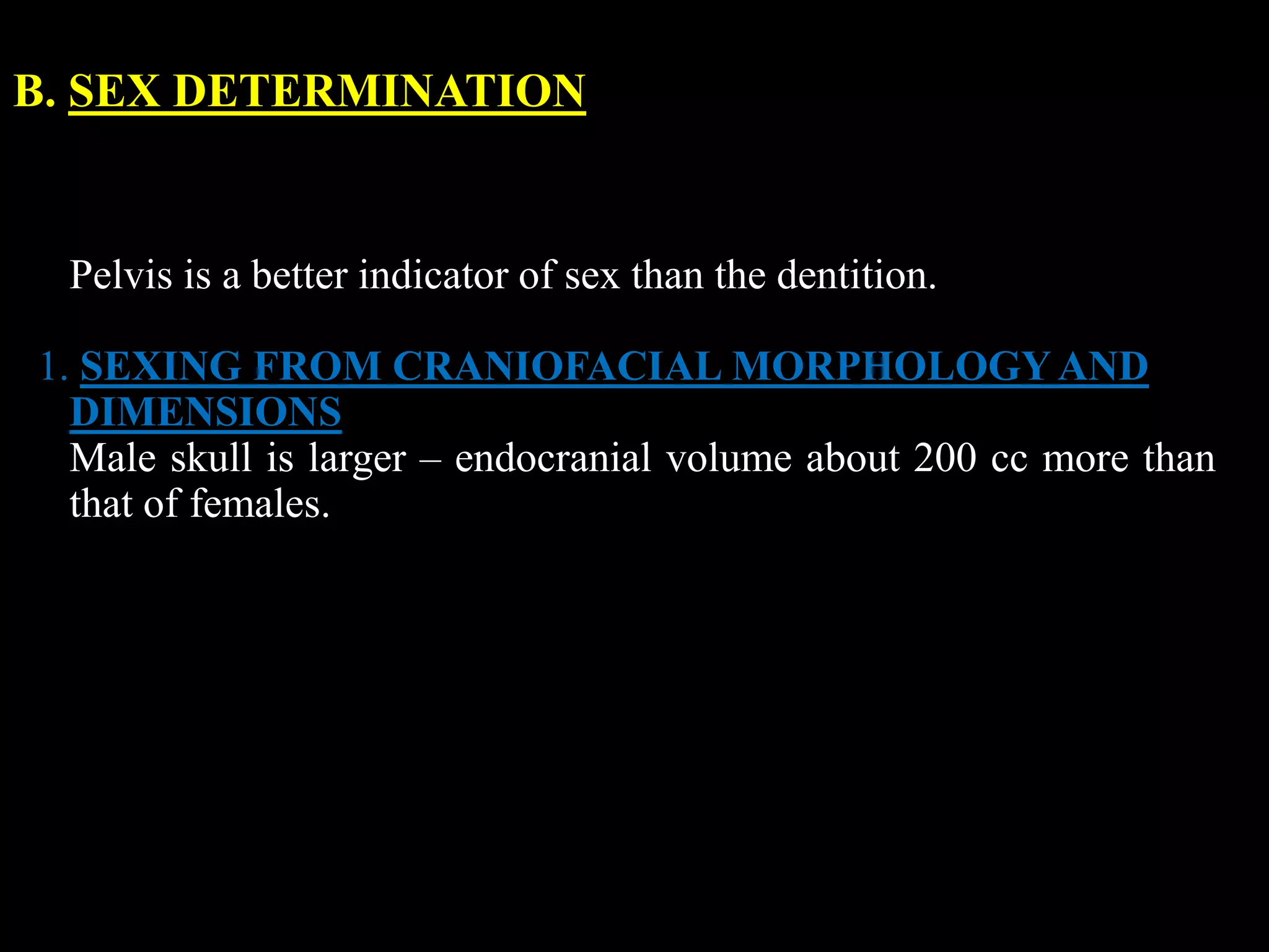 B. SEX DETERMINATION
Pelvis is a better indicator of sex than the dentition.
1. SEXING FROM CRANIOFACIAL MORPHOLOGYAND
DIMENSIONS
Male skull is larger – endocranial volume about 200 cc more than
that of females.
 