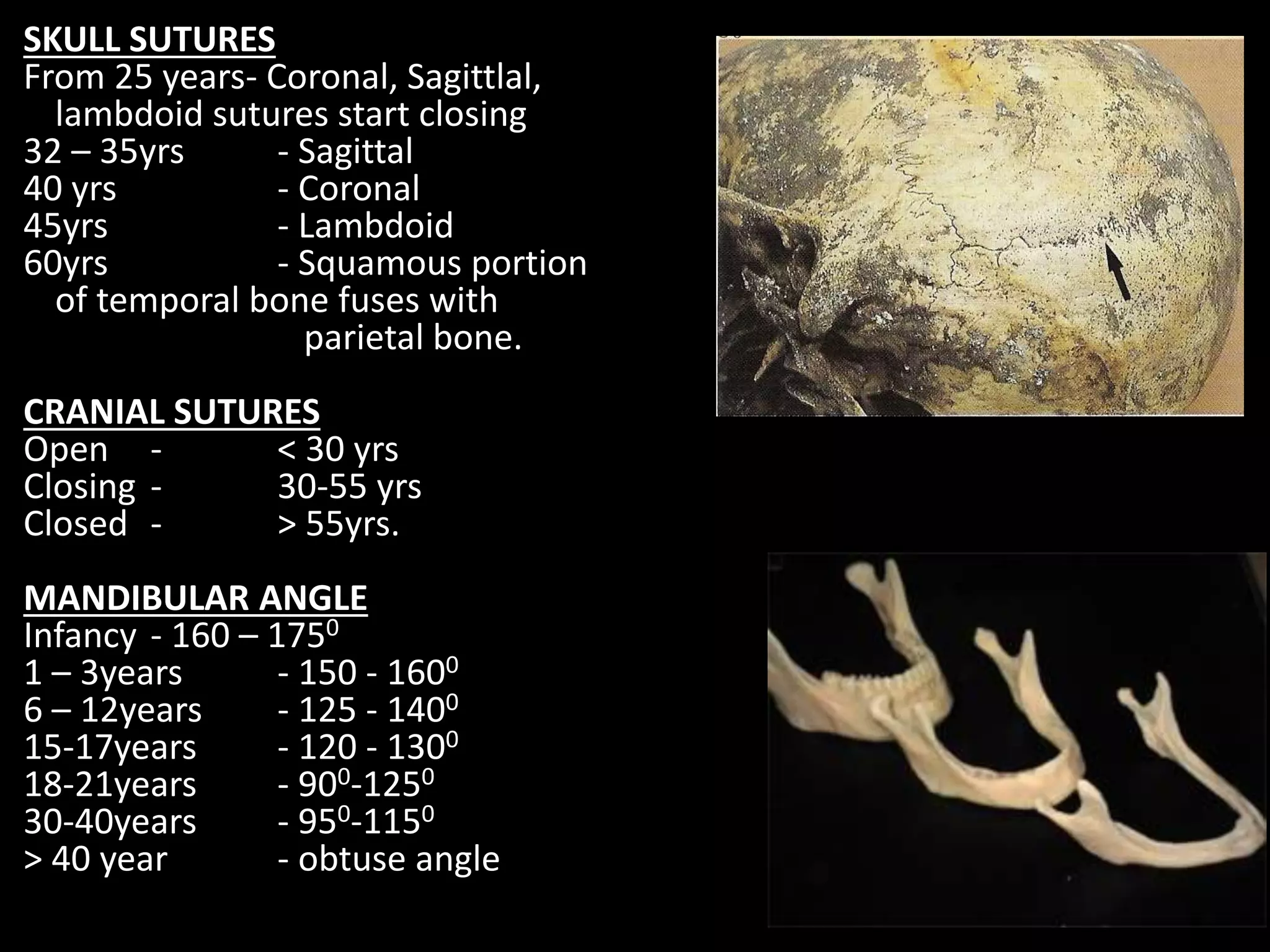 SKULL SUTURES
From 25 years- Coronal, Sagittlal,
lambdoid sutures start closing
32 – 35yrs - Sagittal
40 yrs - Coronal
45yrs - Lambdoid
60yrs - Squamous portion
of temporal bone fuses with
parietal bone.
CRANIAL SUTURES
Open - < 30 yrs
Closing - 30-55 yrs
Closed - > 55yrs.
MANDIBULAR ANGLE
Infancy - 160 – 1750
1 – 3years - 150 - 1600
6 – 12years - 125 - 1400
15-17years - 120 - 1300
18-21years - 900-1250
30-40years - 950-1150
> 40 year - obtuse angle
 
